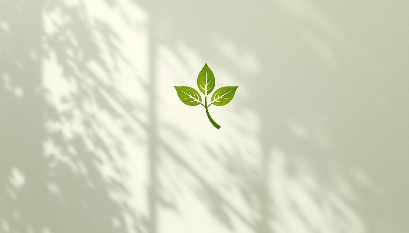 Science/High-Tech - Comment choisir un hébergeur web respectueux de l'environnement ?